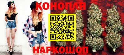скорость Берёзовский