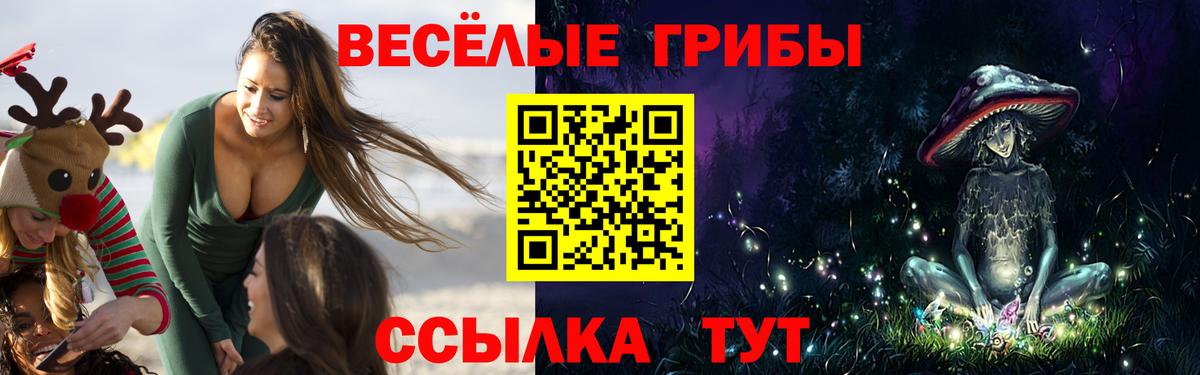 Берёзовский  Галлюциногенные грибы Magic Shrooms  Вход с VPN  Галлюциногенные грибы MAGIC MUSHROOMS 