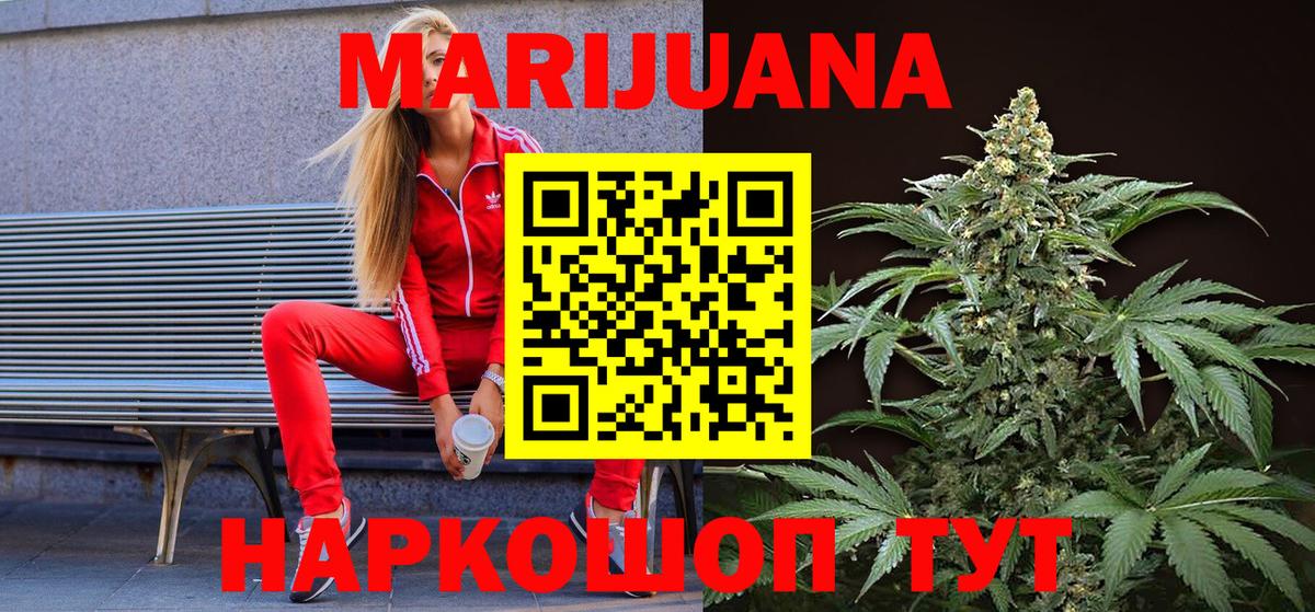 Канабис OG Kush Берёзовский